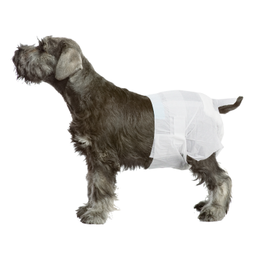 PW Πάνα Βρακάκι XL 9kg και άνω