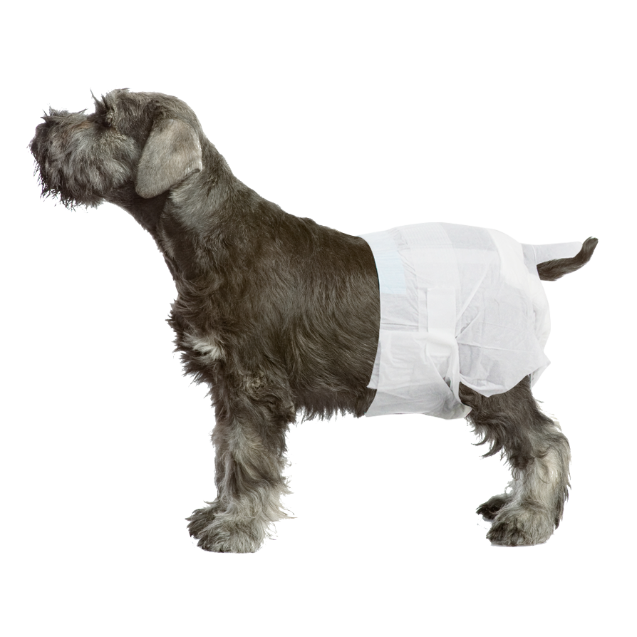 PW Πάνα Βρακάκι XL 9kg και άνω PAWISE