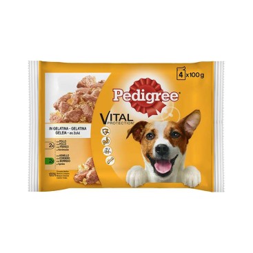 PEDIGREE DOG σε ΖΕΛΈ με ΚΟΤΌΠΟΥΛΟ & ΑΡΝΊ 4x100GR (Πολυσυσκευασία) *προς Κ*