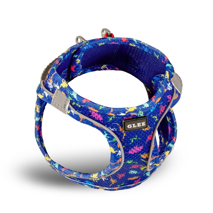 GLEE ΣΑΜΑΡΑΚΙ DINO BLUE 3XS GLEE