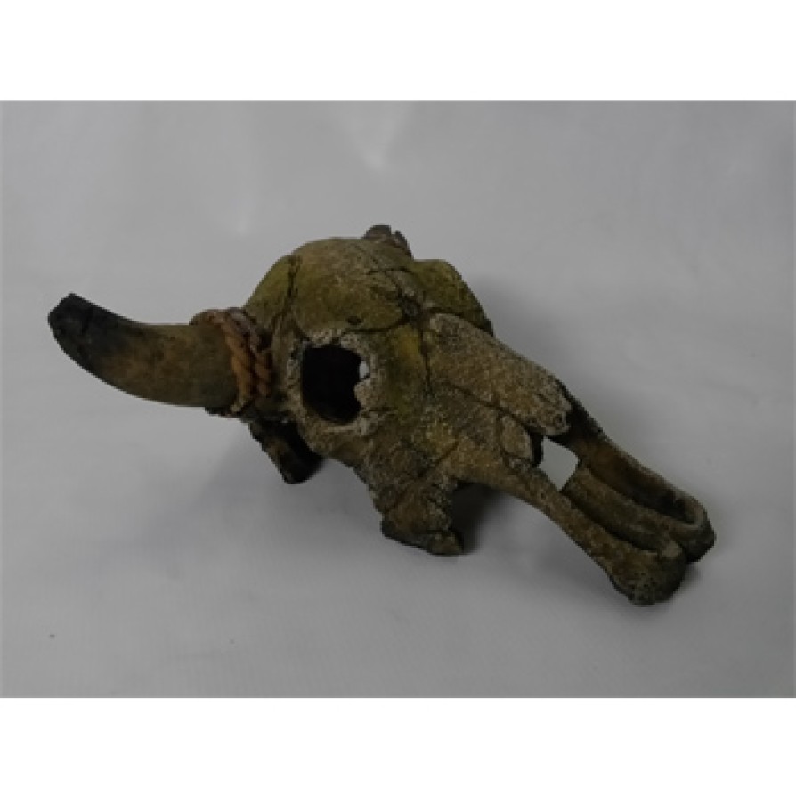 DOPHIN BUFFALO SKULL DOPHIN