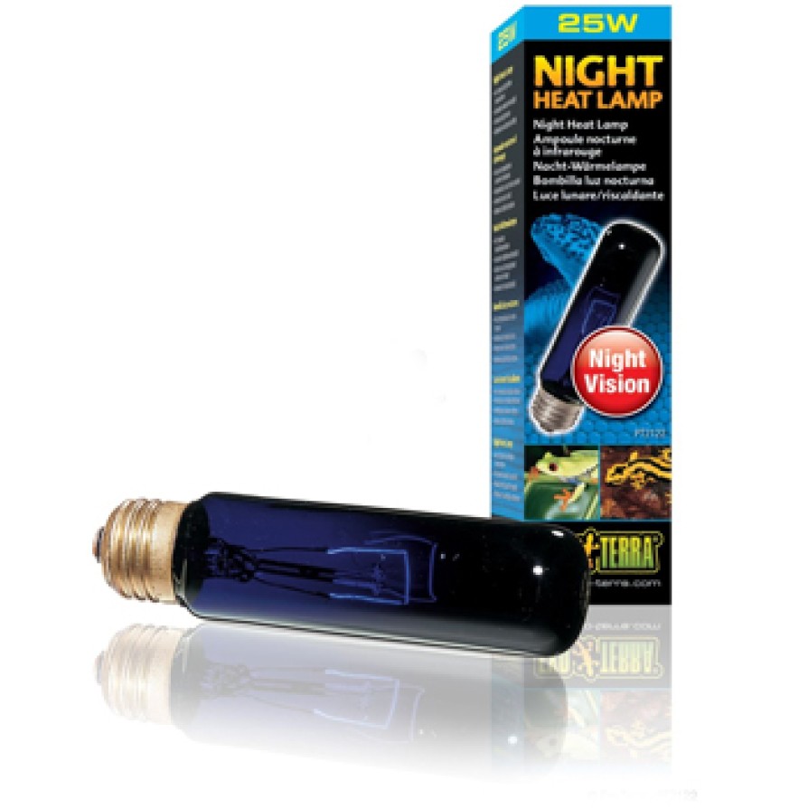 EXO TERRA ΛΑΜΠΑ NIGHT GLO 25W