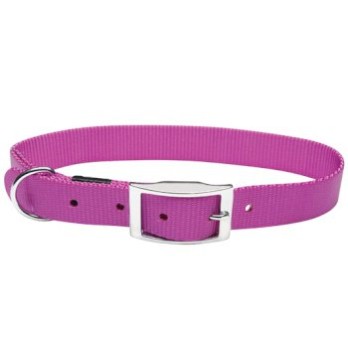 DO NYLON COLAR 19.1MMX61CM PURPLE (MT)