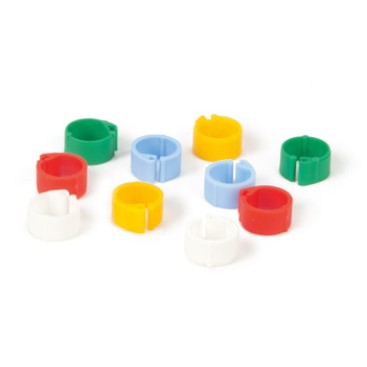 CLICK RINGS FOR PIGEON