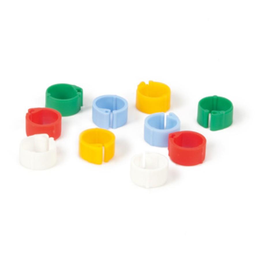 CLICK RINGS FOR PIGEON