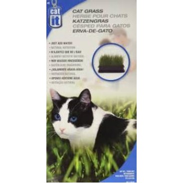 CATIT ΓΡΑΣΙΔΙ ΓΑΤΑΣ