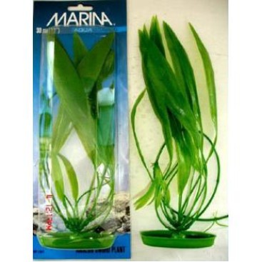 Marina AquaScaper 30cm - Amazon Sword-V
