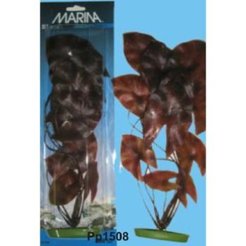 MARINA DWARF LILY 38 CM