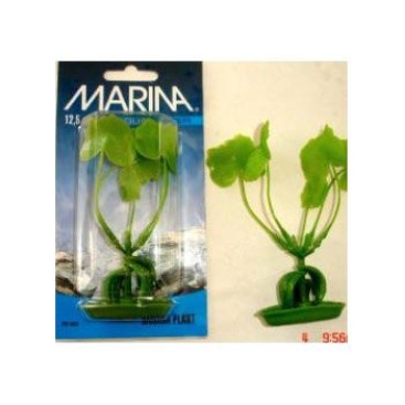 MARINA BANANA PLANT 13 CM