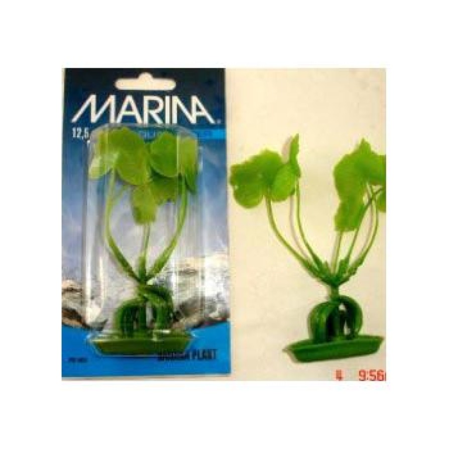 MARINA BANANA PLANT 13 CM
