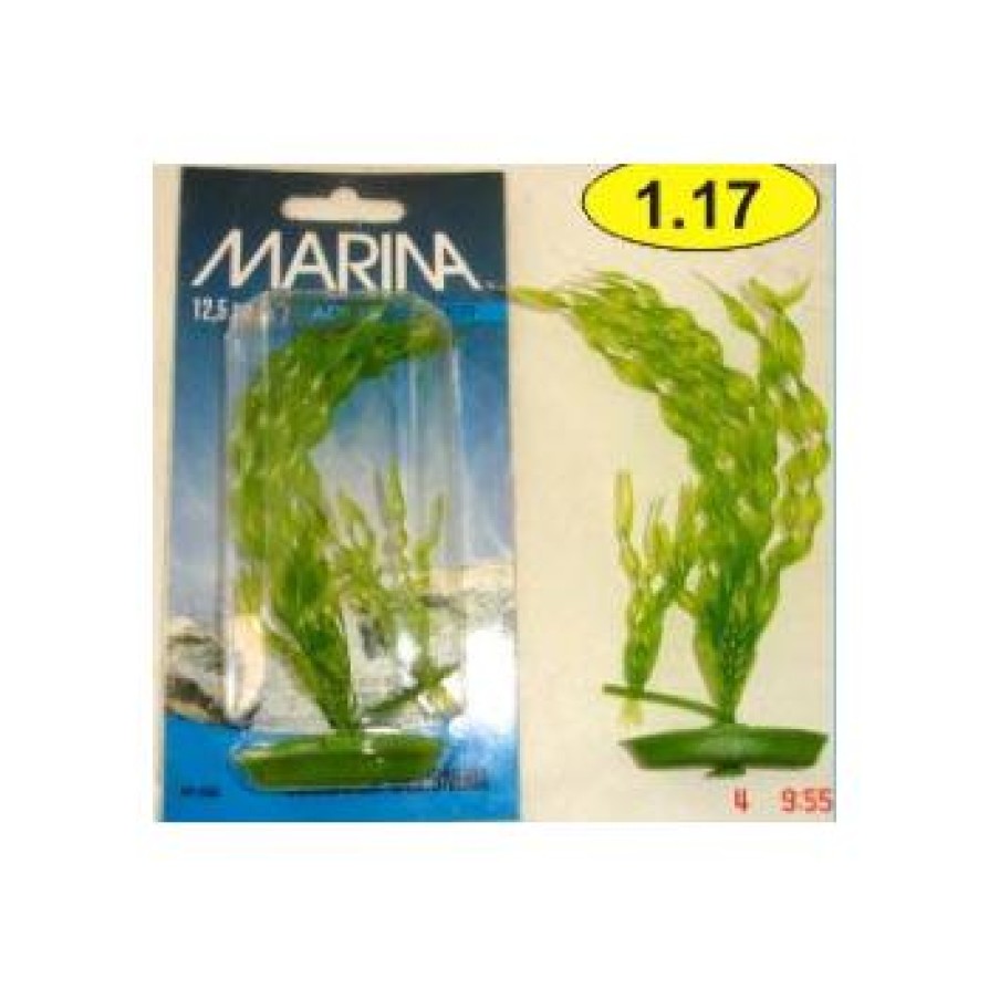 MARINA CORKSCREW VALISNERIA 13 CM MARINA