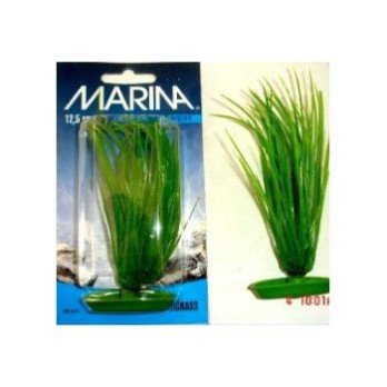 MARINA HAIRGRASS 13 CM