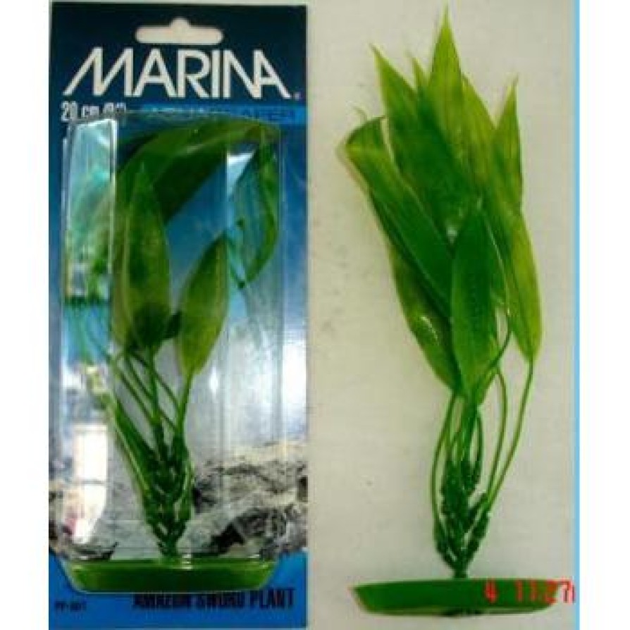 MARINA AMAZON SWORD PLANT 20CM
