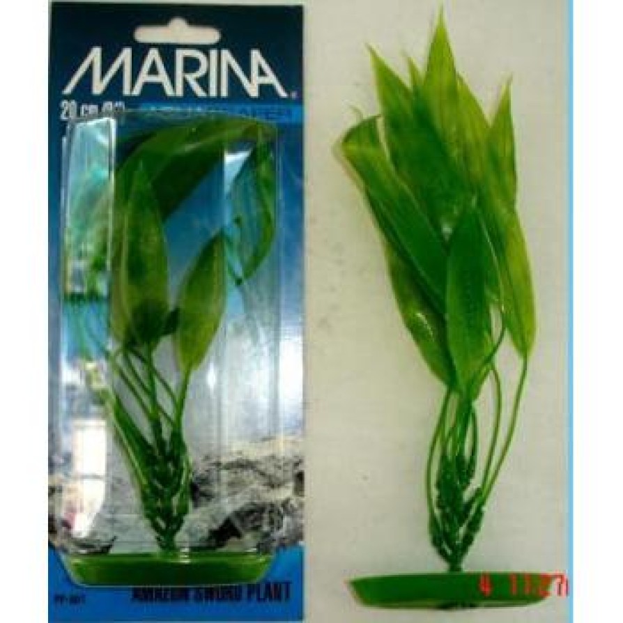 MARINA AMAZON SWORD PLANT 20CM MARINA