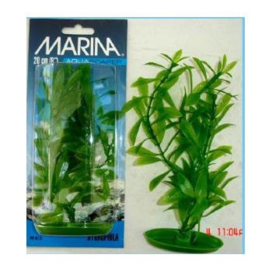 MARINA HYGROPHILA 20 CM MARINA