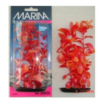 MARINA LUDWIGIA ORANGE 20CM