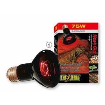EXO TERRA Infrared Basking Spot Lamp 75W