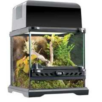 EXO TERRA Terrarium 20x20x20cm
