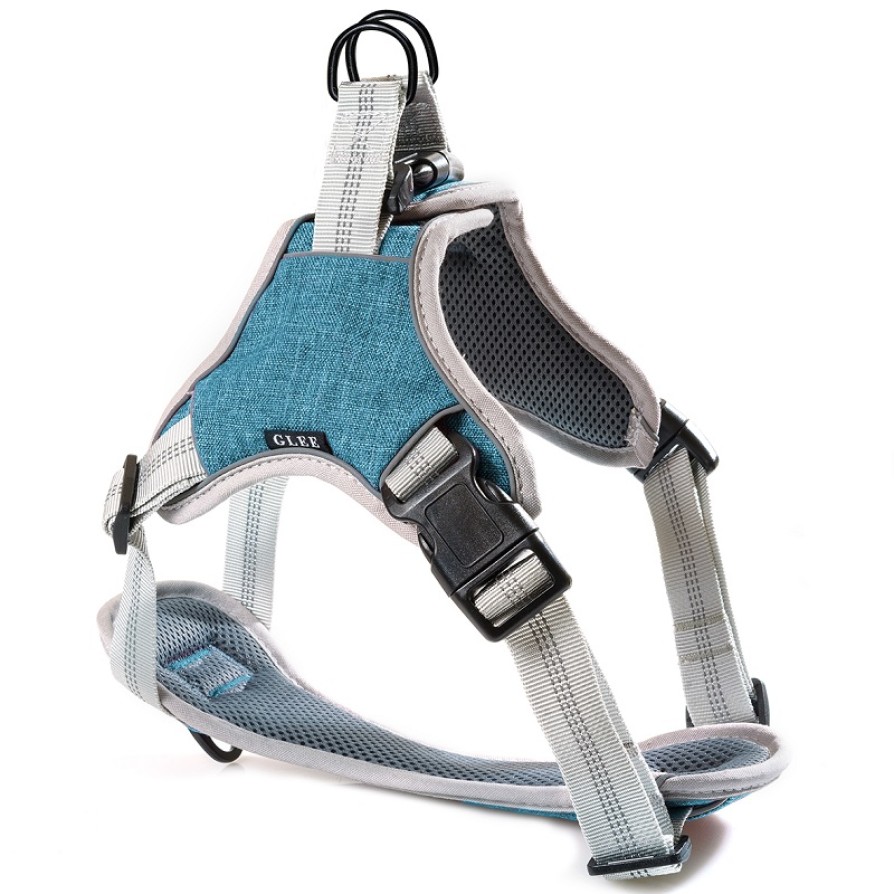Glee Σαμαράκι Ιμάντα τύπου Saddle Petrol M 48‐65cm GLEE
