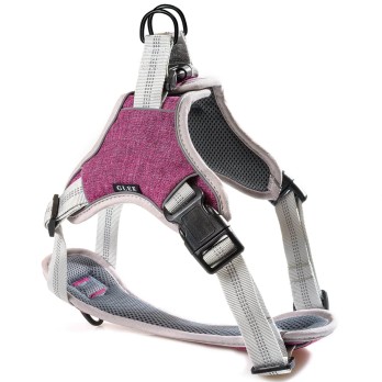 Glee Σαμαράκι Ιμάντα τύπου Saddle Bordeaux L 61‐76cm *προς Κ*