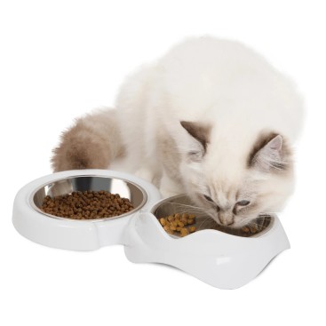 CA PIXI DOUBLE DISH WHITE