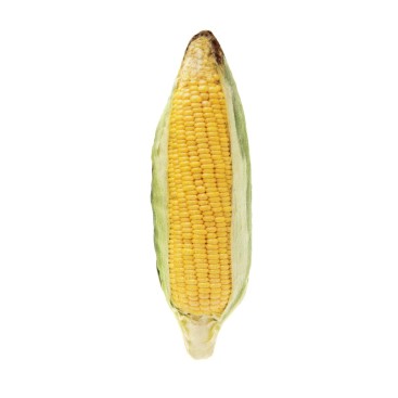 ΠΑΙΧΝΙΔΙ EAR OF CORN MATATABI 14X6CM