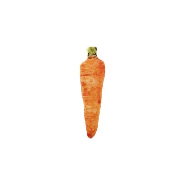 ΠΑΙΧΝΙΔΙ CARROT MATATABI 14X6CM