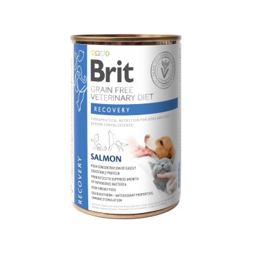Brit VD Dog & Cat CAN Recovery 400gr