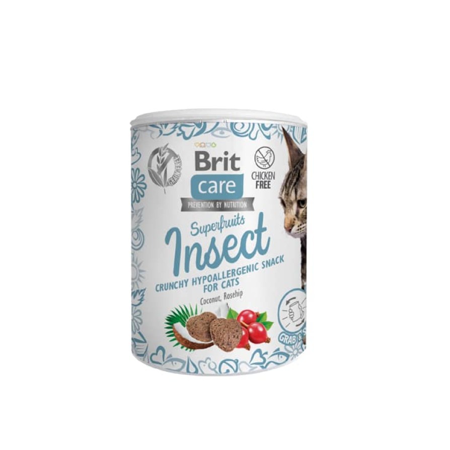 BRIT CARE CAT SN SUPERF INSECT HYPOALLERG 100GR BRIT
