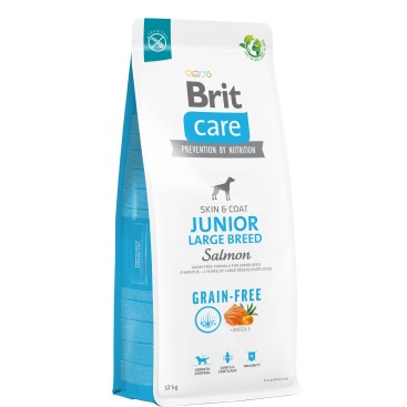 BRIT CARE D.GF JUNIOR LARGE SALMON 1KG