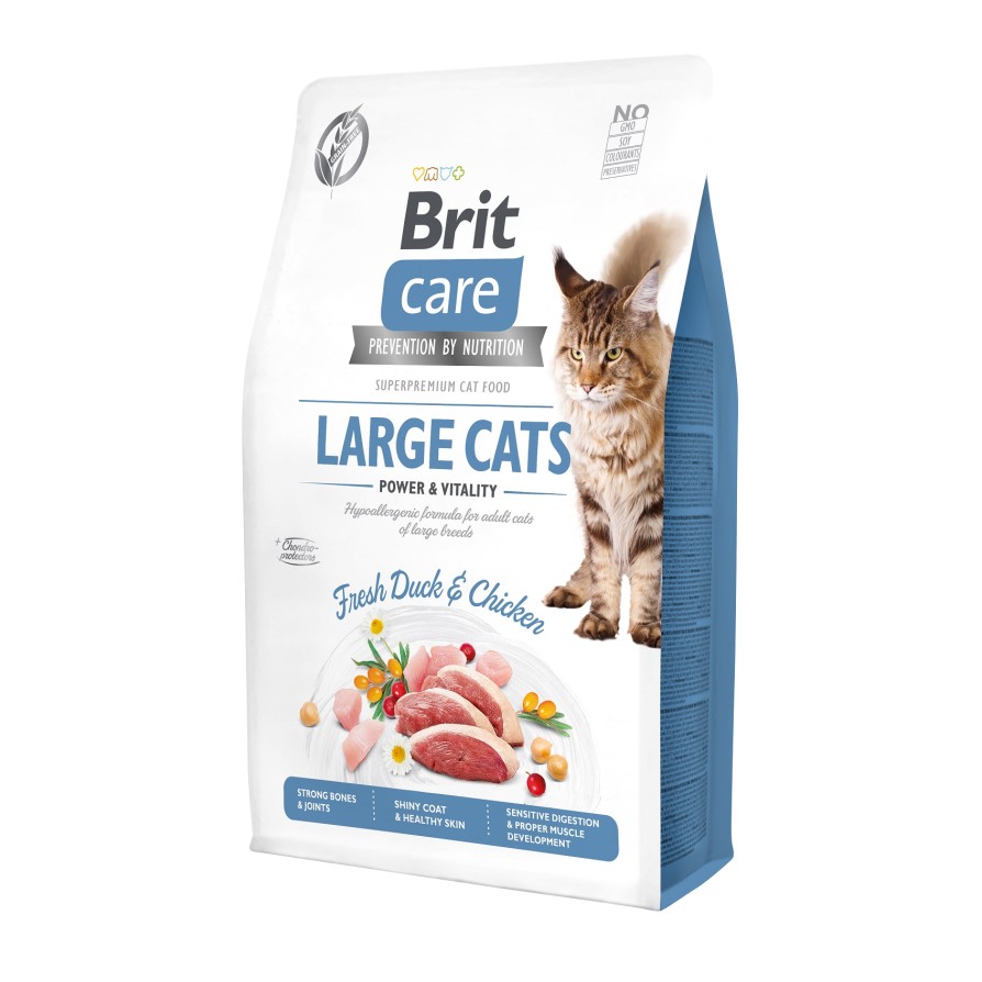BRIT CARE CAT GF ADULT LARGE (!) 2KG BRIT
