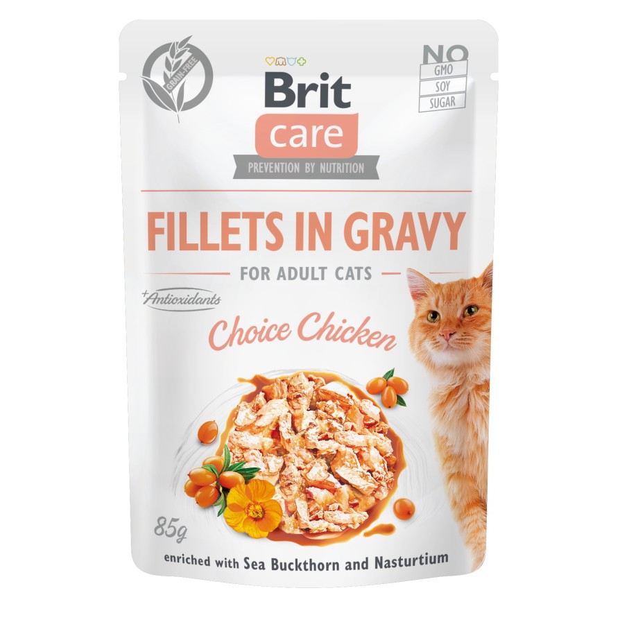 BRIT CARE CAT ΦΑΚΕΛΑΚΙ CHICKEN 85GR BRIT