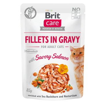 BRIT CARE CAT ΦΑΚΕΛΑΚΙ ΣΟΛΟΜΟ 85GR