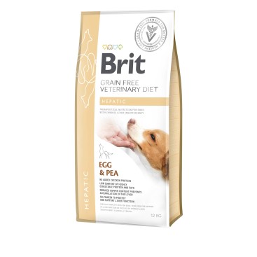 Brit VD GF Dog Hepatic 2KG