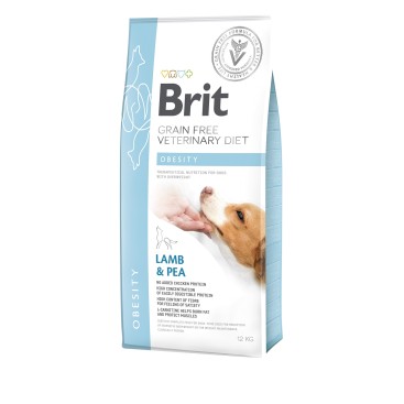 Brit VD GF Dog Obesity 2KG
