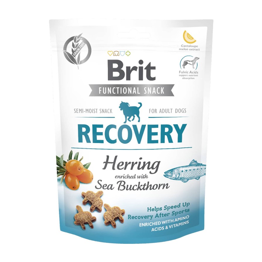 BRIT DOG SN FUNCT.RECOVERY 150G BRIT