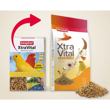 BEAPHAR ΧVITAL CANARY 500GR
