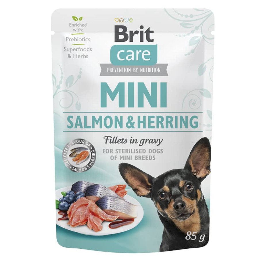 BRIT CARE MINI ΦΑΚΕΛΑΚΙ STER. SALMON & HERB 85GR BRIT