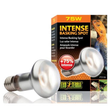 EXO TERRA Intense Basking Spot Lamp 75W