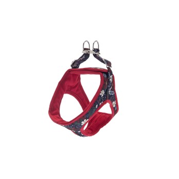 ΣΑΜΑΡΑΚΙ KAMI XS 32-39CM RED