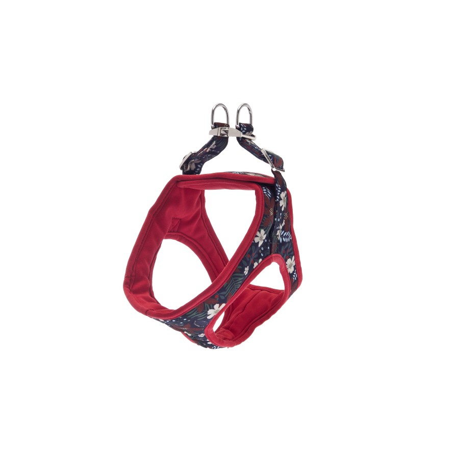 ΣΑΜΑΡΑΚΙ KAMI XS 32-39CM RED FERRIBIELLA