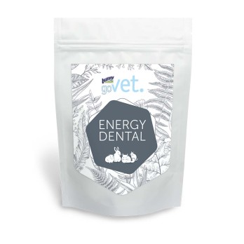 BUNNY GOVET ENERGY DENTAL 1,2KG