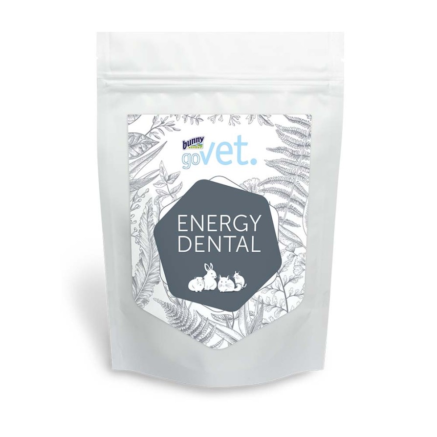 GOVET ENERGY DENTAL 1,5KG BUNNY
