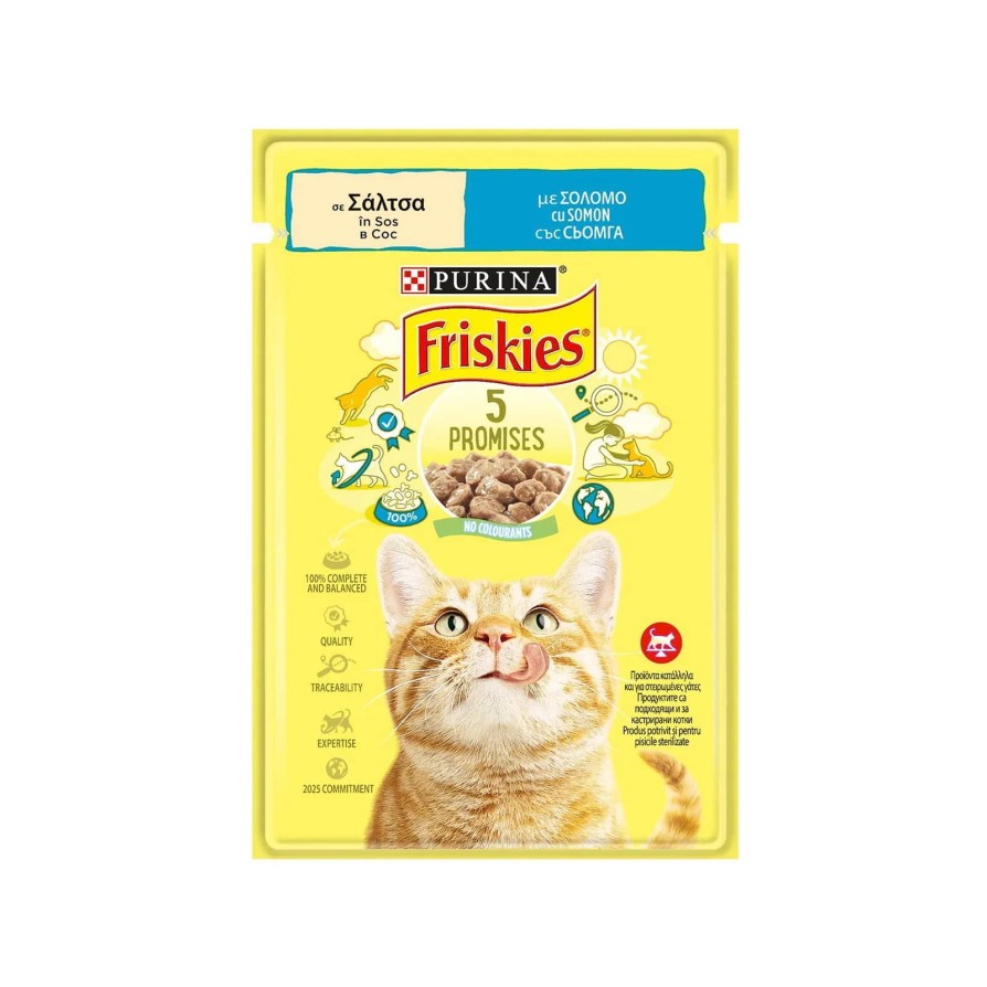 FRISKIES WET CAT σε ΣΆΛΤΣΑ με ΣΟΛΟΜΌ 85GR FRISKIES
