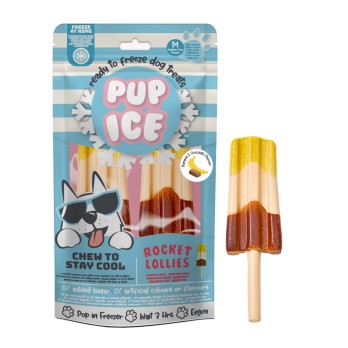 PUP ICE Banana & Choco 2p 90gr