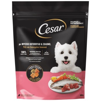 CESAR ADULT ΚΟΤΟΠΟΥΛΟ ΣΟΛΩΜΟΣ κ ΛΑΧΑΝΙΚΑ 800g