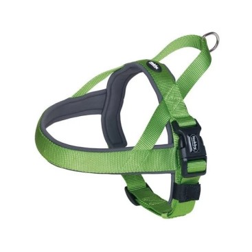 NOBBY ΝΟΡΒΗΓΙΚΟ ΕΠΙΣΤΗΘΙΟ CLASSIC PRENO NEON GREEN-GREY L:75-98cm+62cm, W:40/45mm
