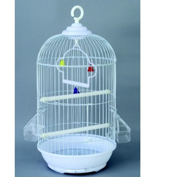 ΚΛΟΥΒΙ ΠΟΥΛΙΟΥ ΛΕΥΚΟ ΣΤΡΟΓΓΥΛΟ