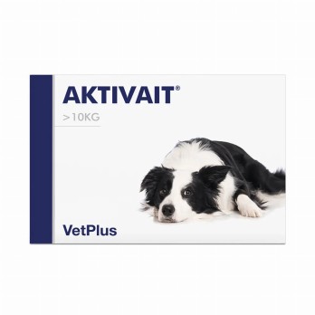 Activait medium/large breed 1x60TABS