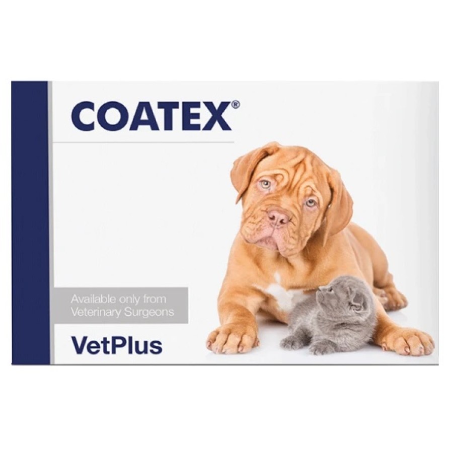 Coatex 1x60caps ΣΚΥΛΟΣ